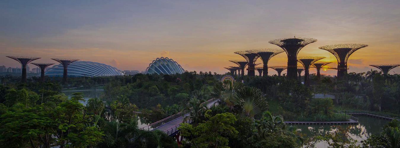 Gardens by the Bay