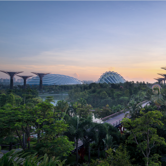 Gardens by the Bay